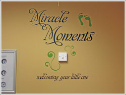 Wall Appeals Removable Wall Art Photo Gallery